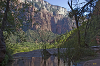 Emerald Pool at Zion N.P.